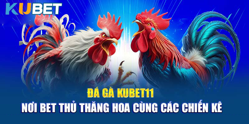 Hướng Dẫn Cá Cược Đá Gà kubet11 Online