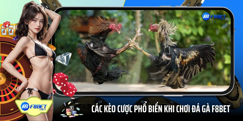 Các kèo cược phổ biến khi chơi đá gà F8BET